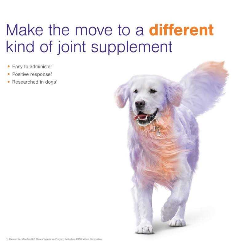 Joint Support Soft Chews for Dogs D44485