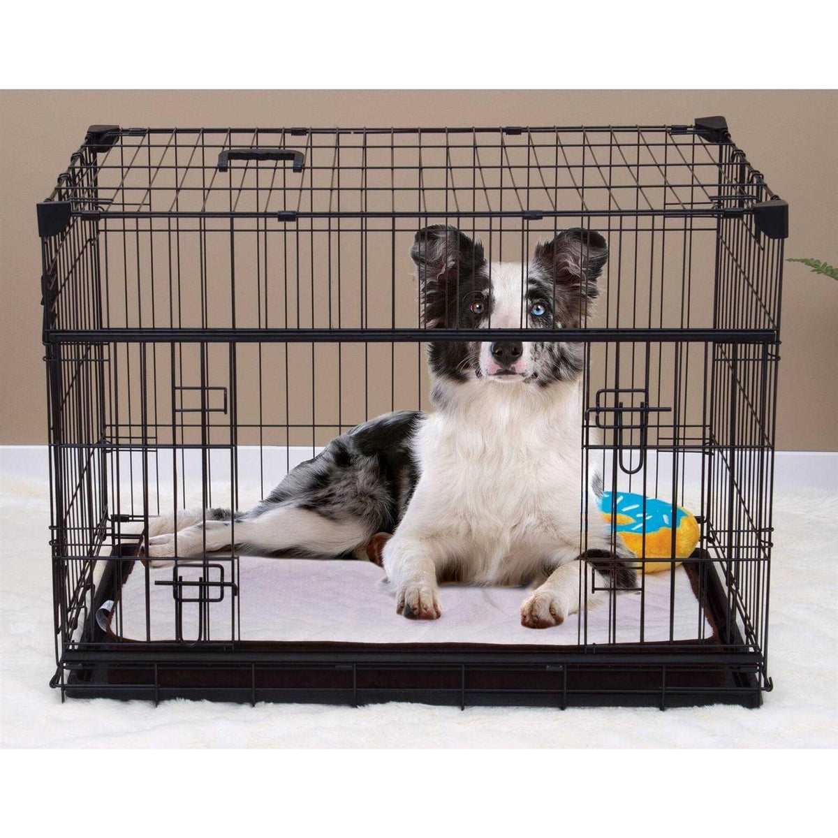 Sliding Double Door Dog Crate W344