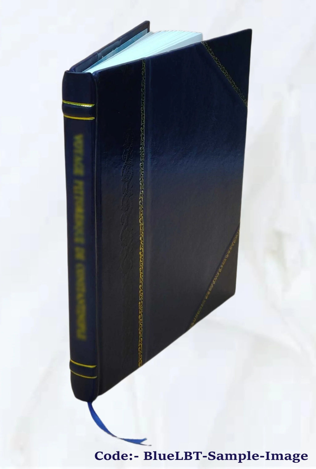 Leather Bound Book L924747