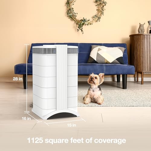 Compact Air Purifier with HyperHEPA Filtration D602