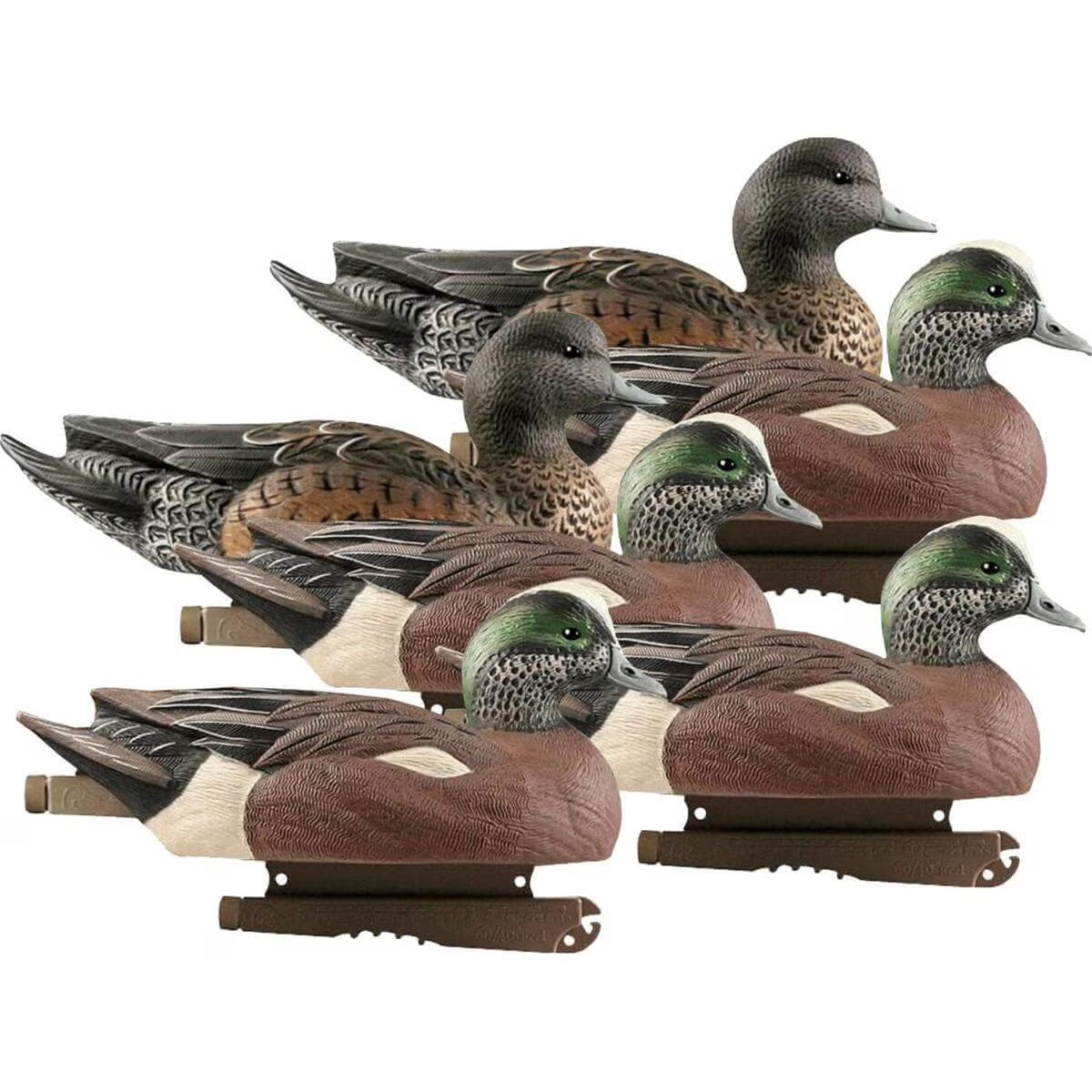 6 Pack Life-Size Wigeons Decoy G713558