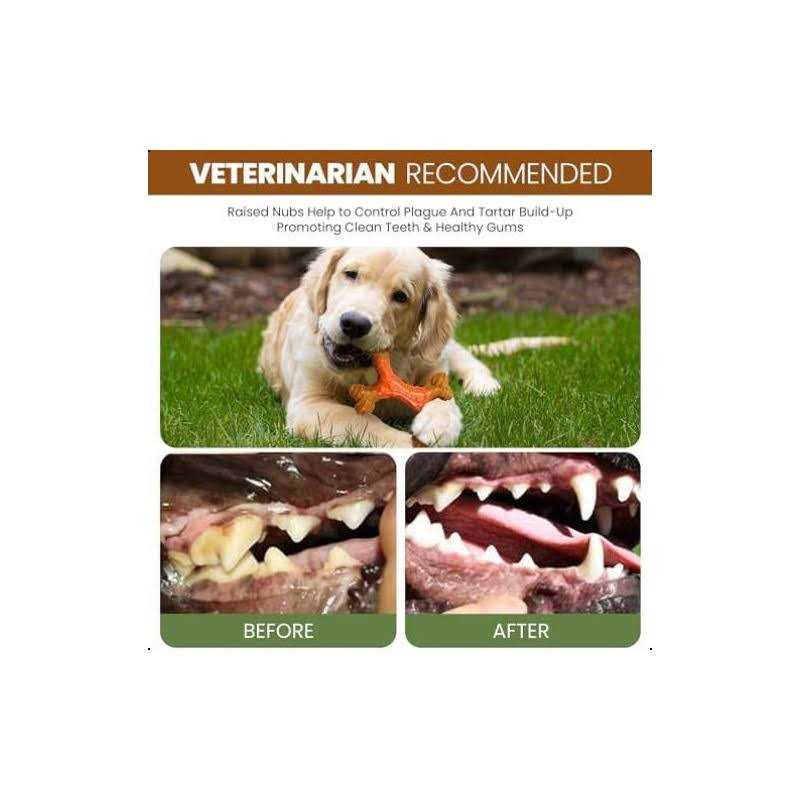 Bone Peanut Butter Pet Supplies U817