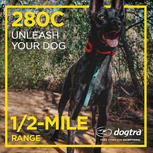 Dog Remote Training Collar A627