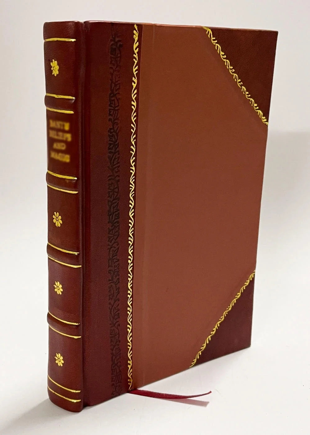 Leather Bound Book T694