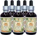 Solanum Dulcamara Dried Herb Liquid Extract 5x2 fl.oz V96877