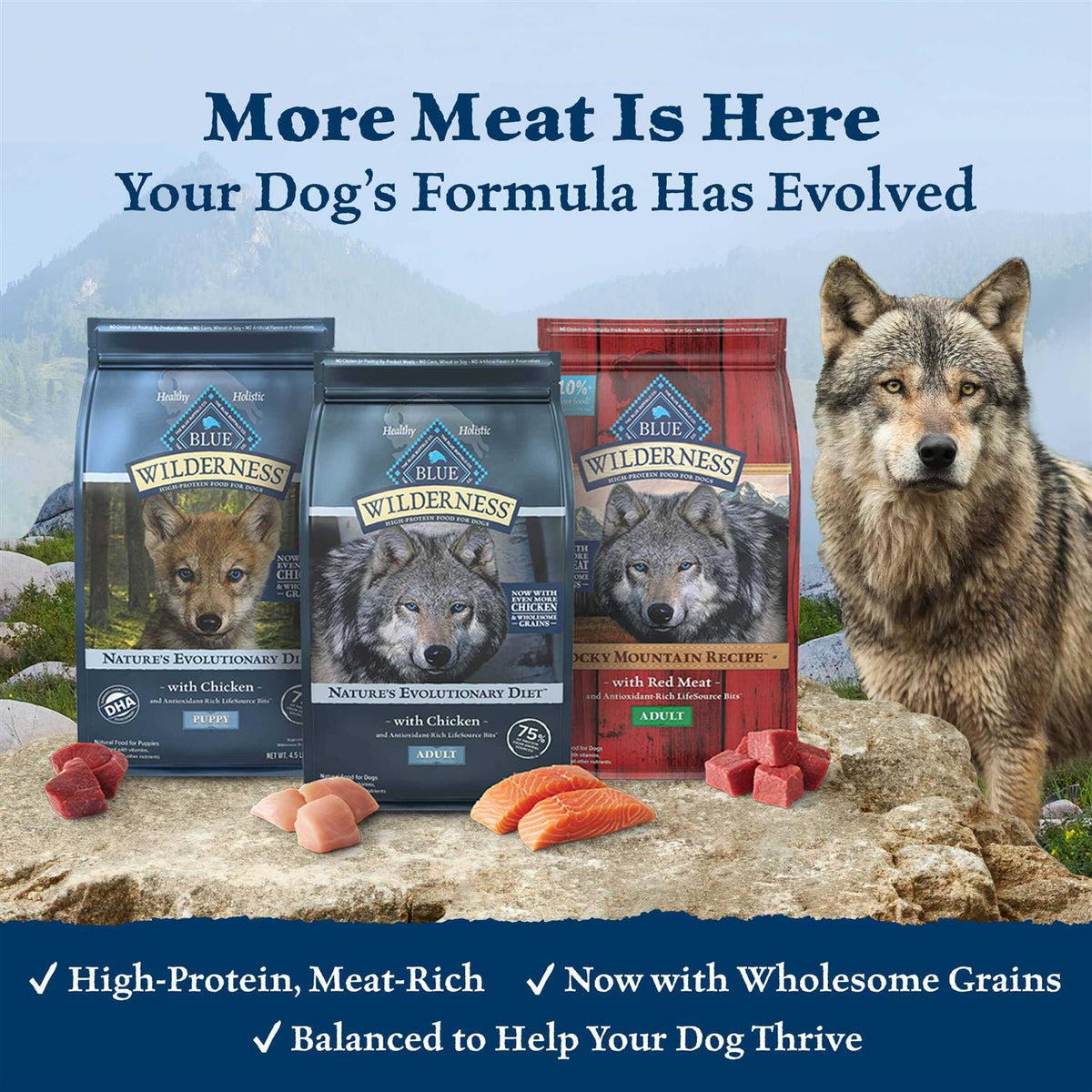 Dog Food Q203108