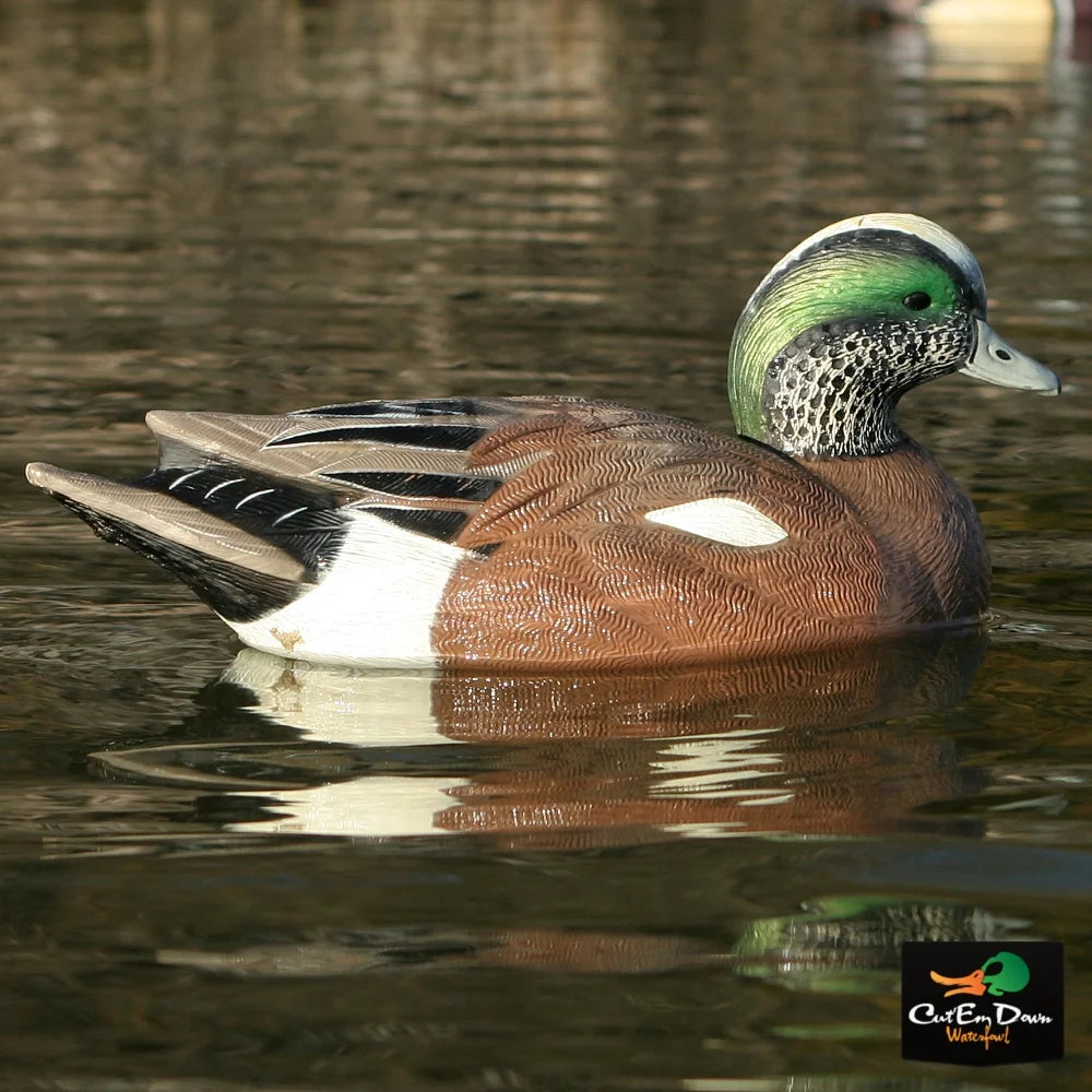 6 Pack Life-Size Wigeons Decoy G713558