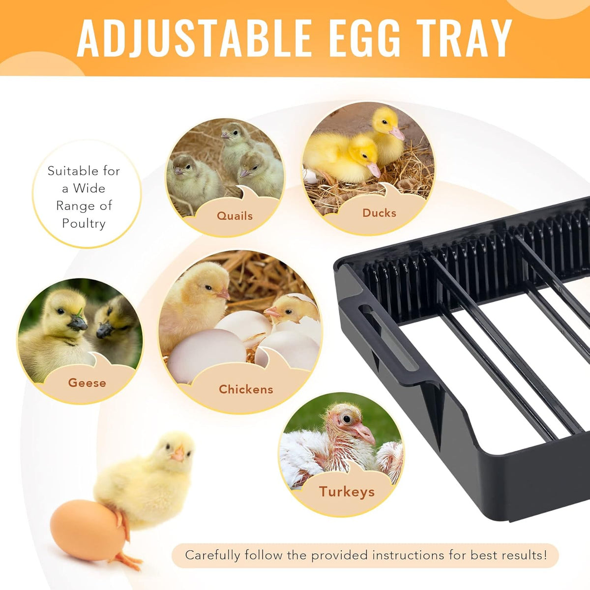 9-35 Eggs Fully Automatic Egg Incubator with LED Candler, Pack of 2 D562