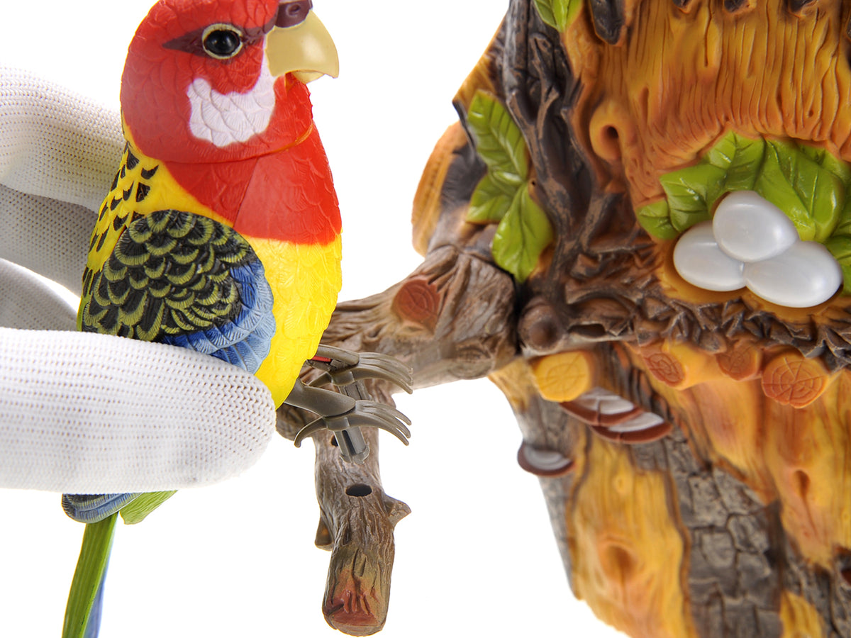 Wall Mount Dancing Bird Toy with Motion Sensor D61140