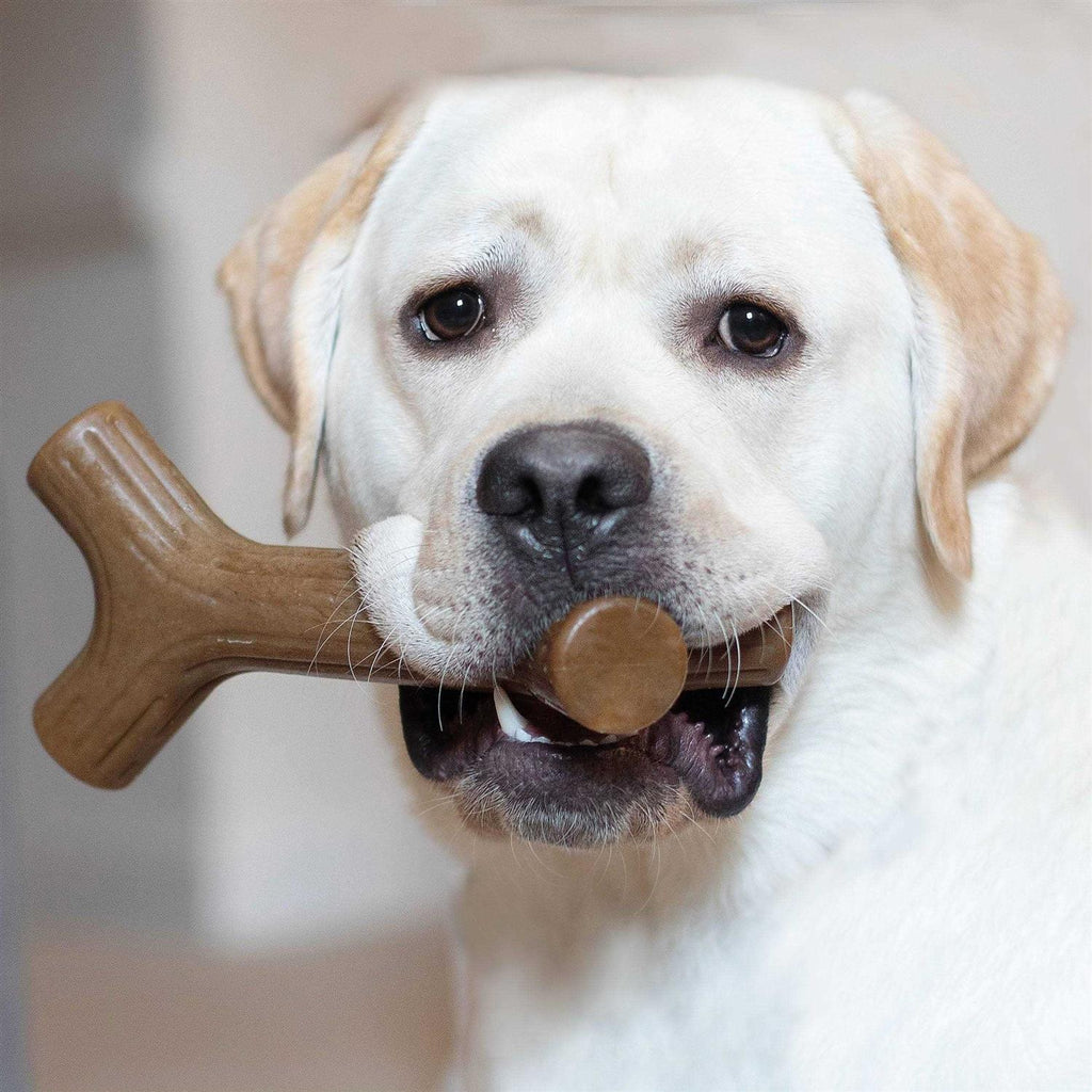Dog Chew U992