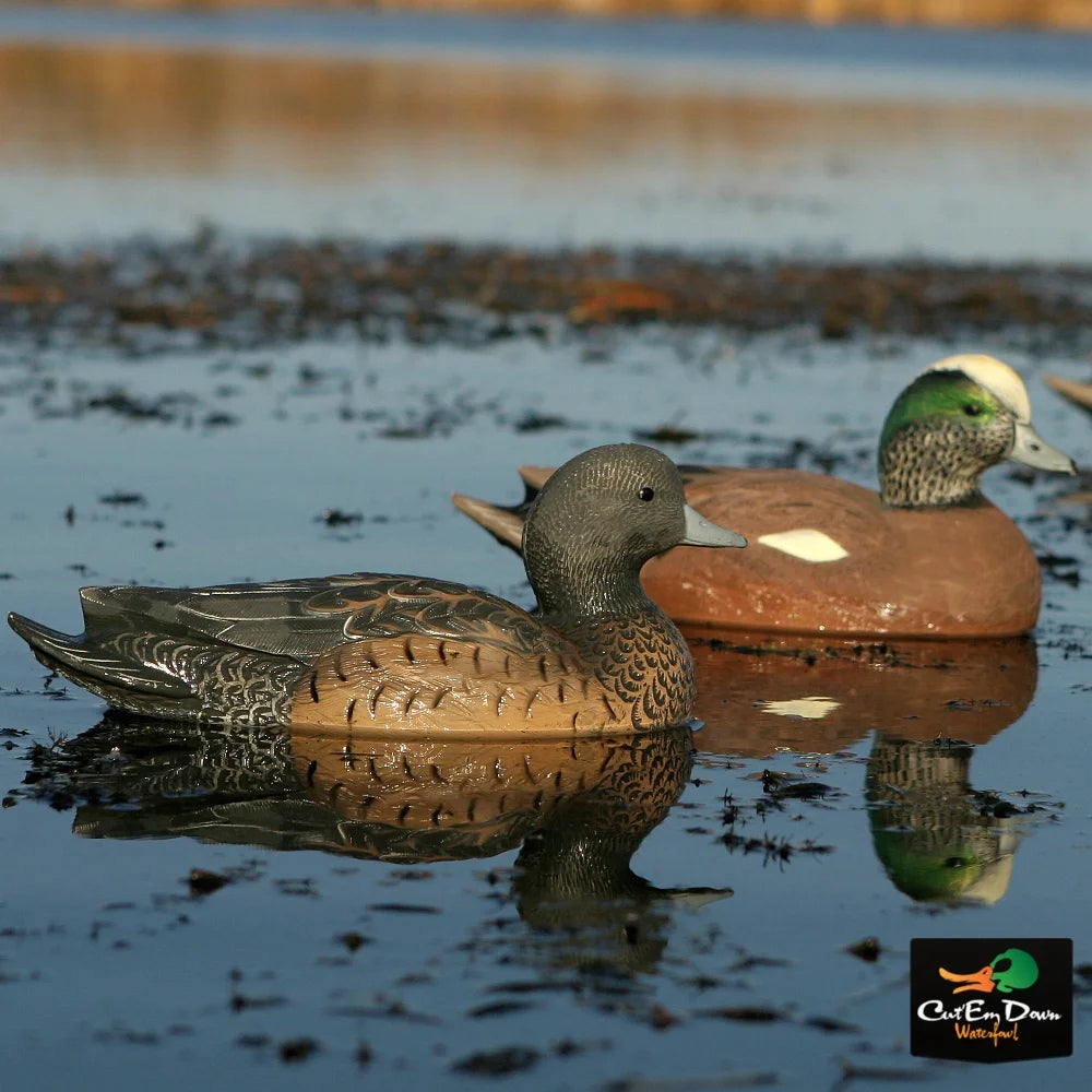 6 Pack Life-Size Wigeons Decoy G713558