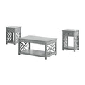 Gray Coffee & End Tables Set of 3 Z35706