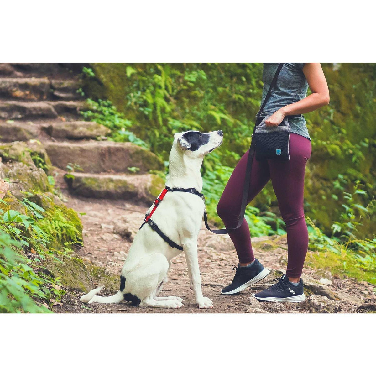 Buckle-Neck No-Pull Dog Harness W9685