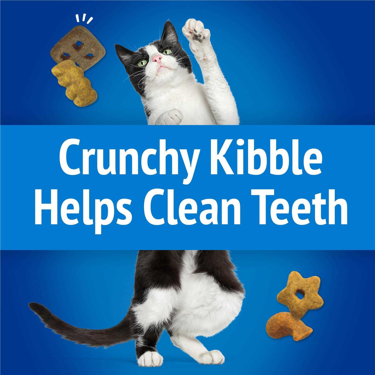 Cat Treats Party Mix Crunch V3621