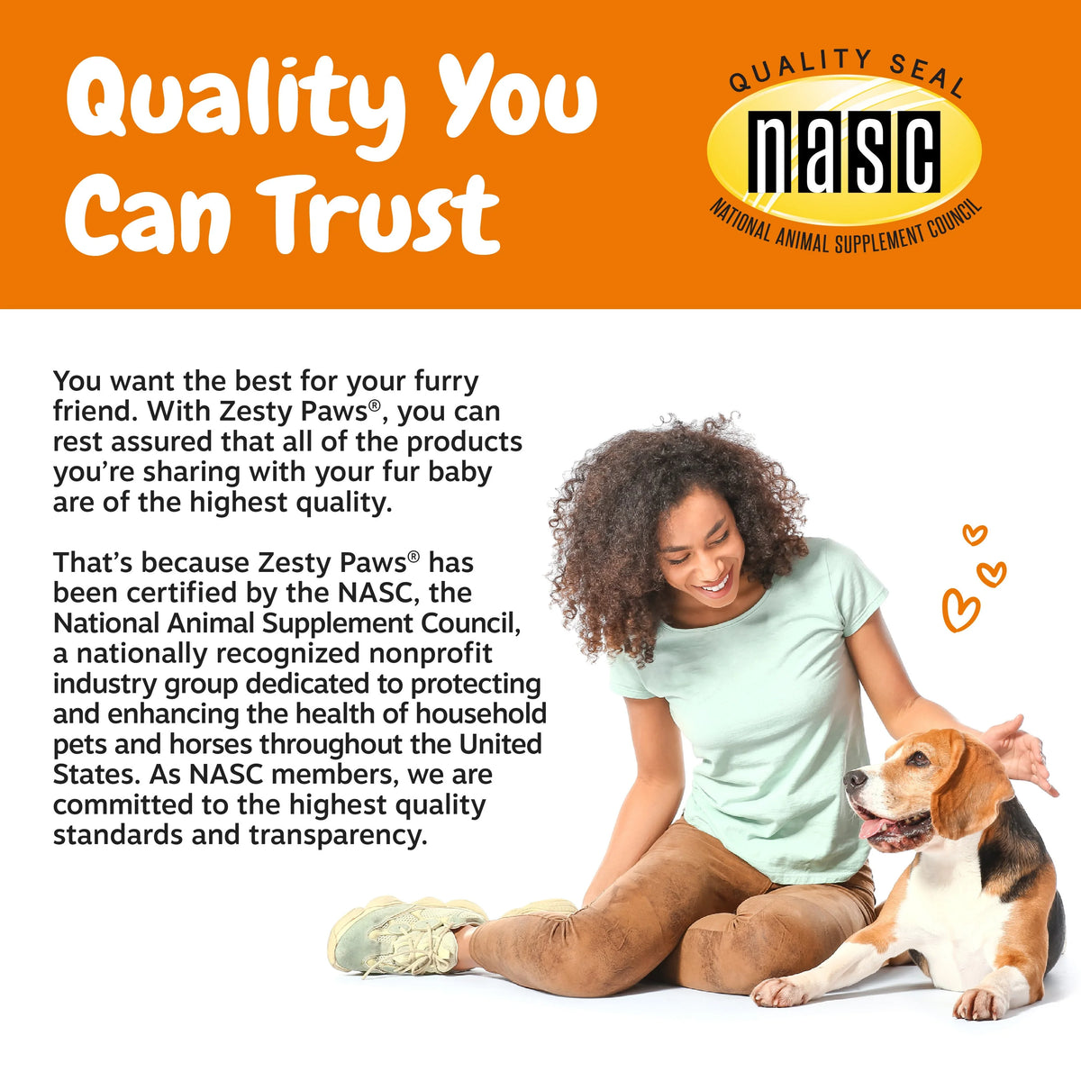 Lamb Flavor Soft Chews for Small Dogs D7734
