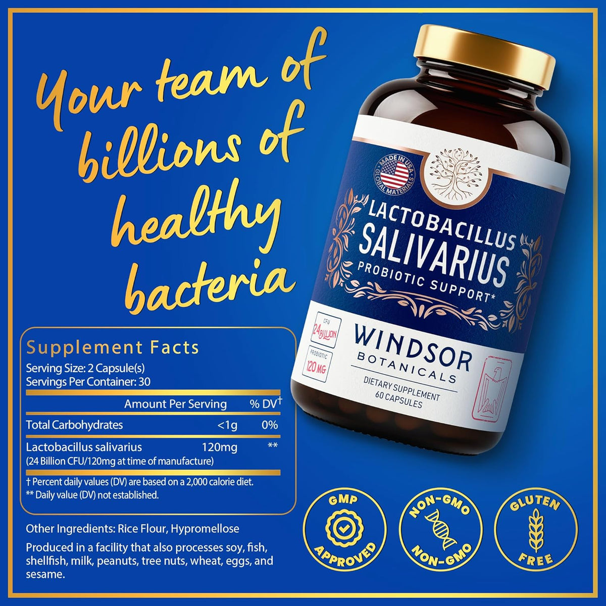 L Salivarius Probiotic Capsules, 24bn CFU, 60 Caps B803600
