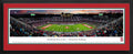 Framed Panoramic H500