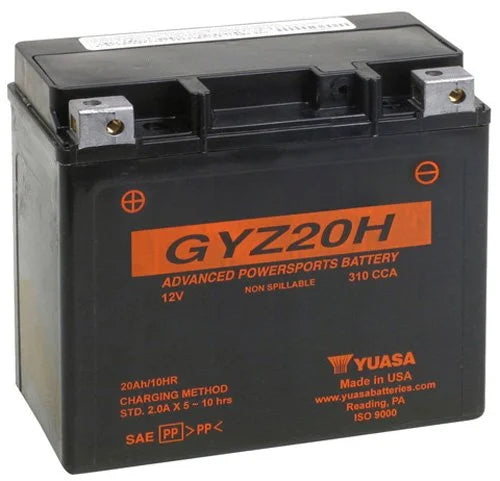 Maintenance Free Factory Activated Battery X301082