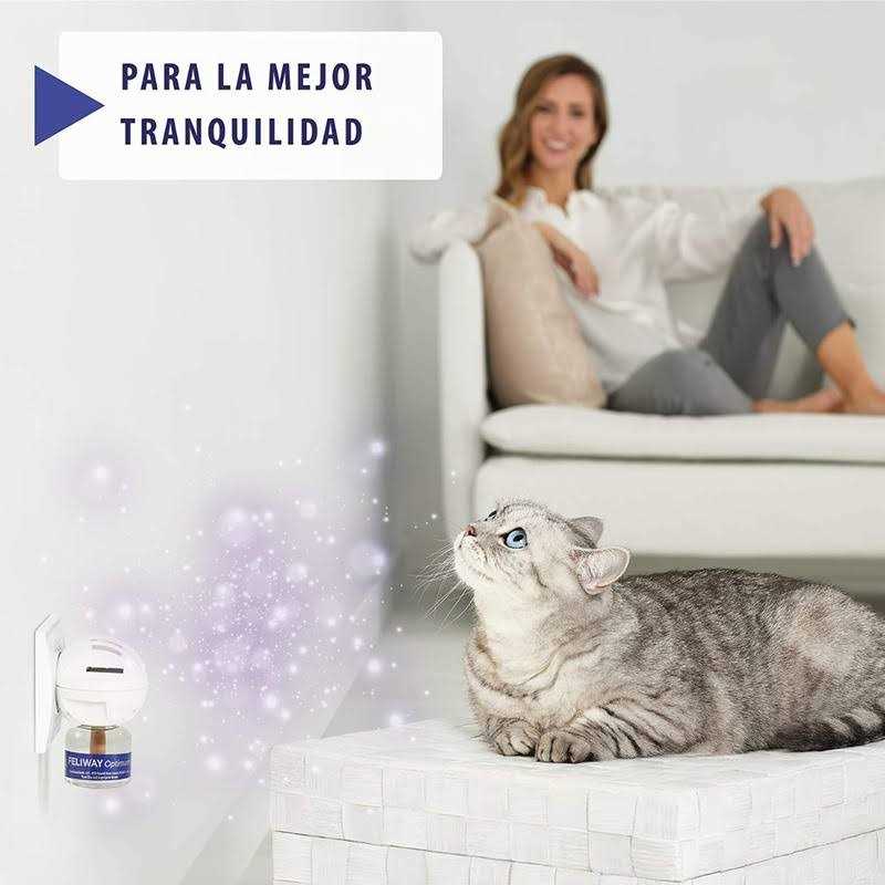 Calming Refill 48mL T862
