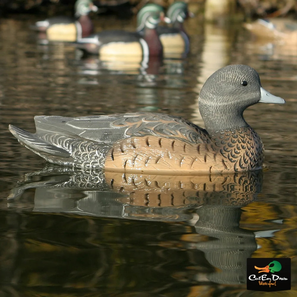 6 Pack Life-Size Wigeons Decoy G713558