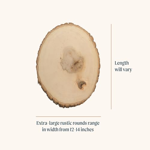 Extra Large 12-14" Wide Live Edge Wood Round (Pack of 6) J8026