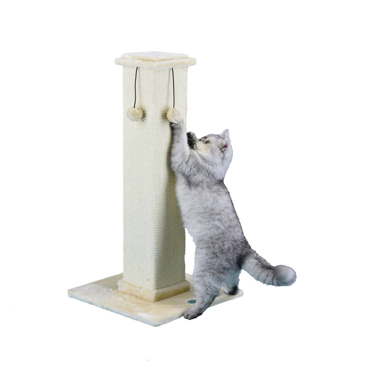 35-in Cat Scratching Post R63471