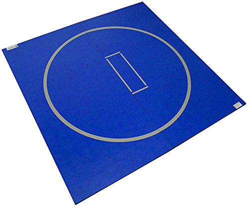 10'x10' Wrestling Mat R204331