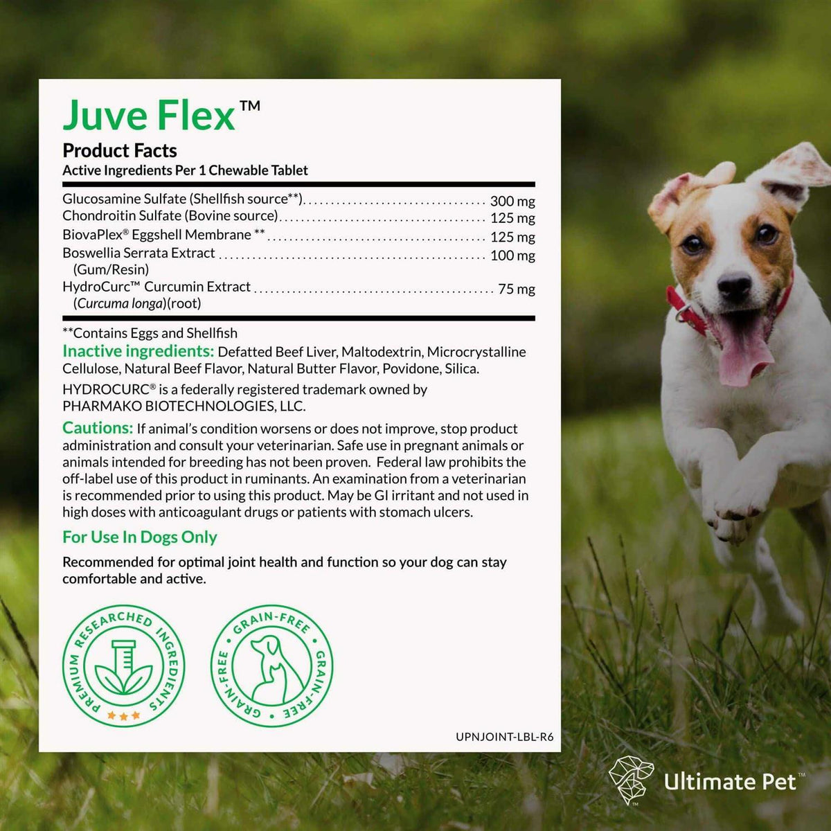 Canine Hip & Joint Support Supplement for Dogs Z174