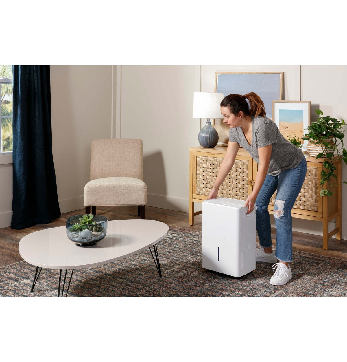 Portable Dehumidifier 35 Pint I2703