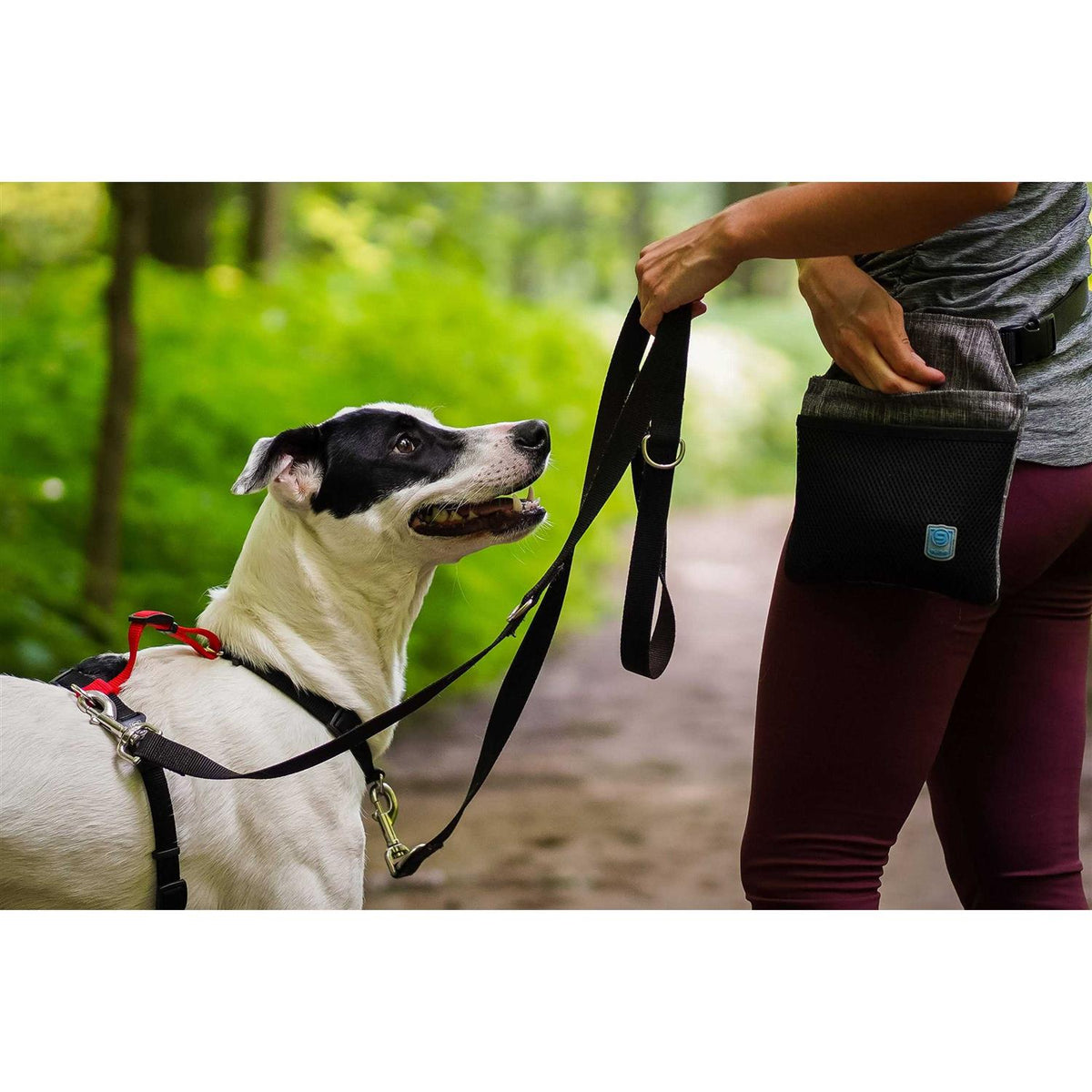 Buckle-Neck No-Pull Dog Harness W9685