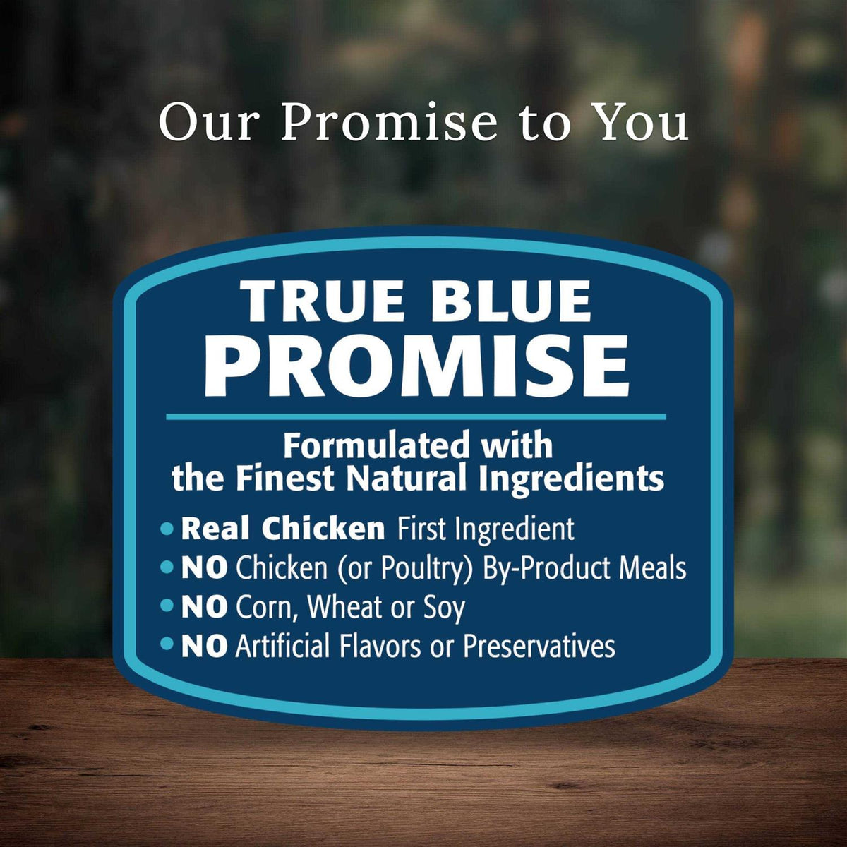 Dog Food Q203108