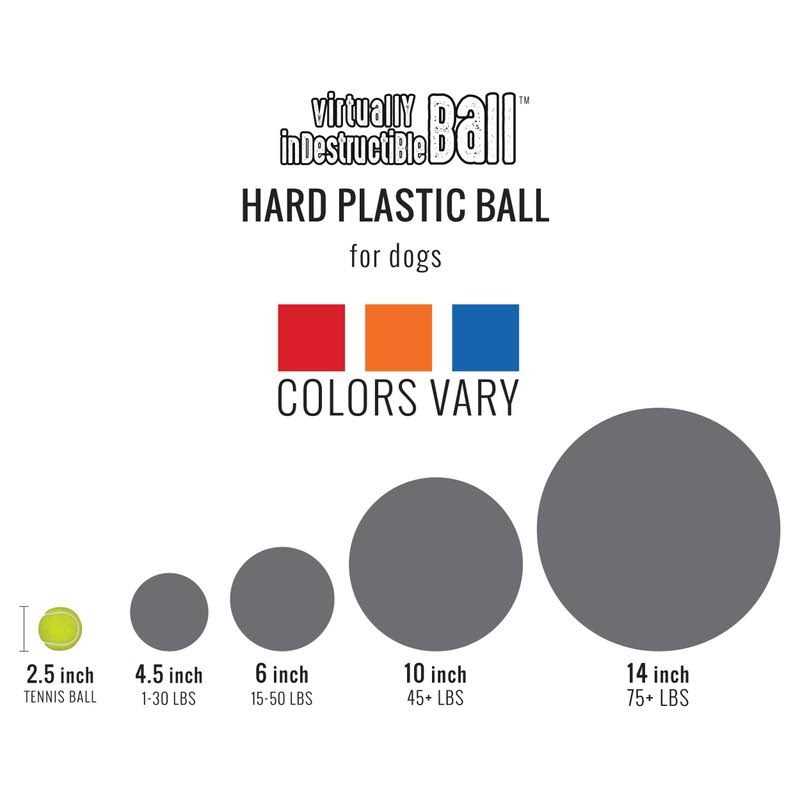 Color Varies 6-in Dog Toy W591105