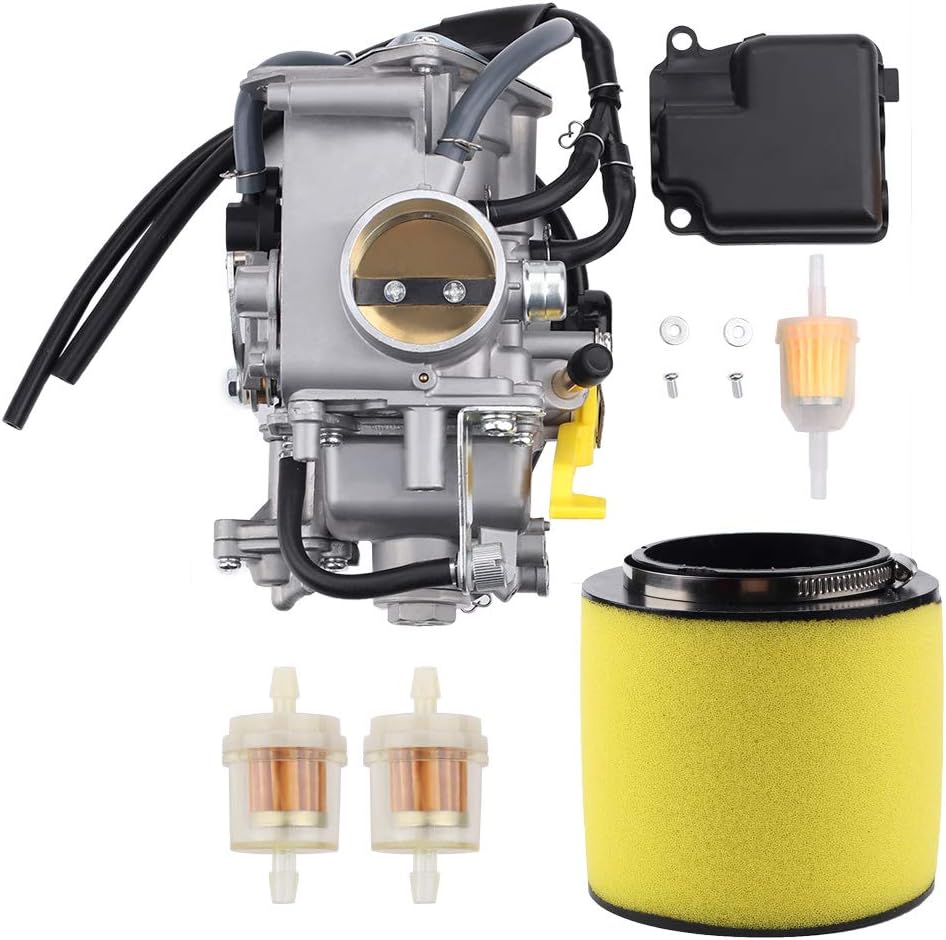 Carburetor with Air Filter and Fuel Filter Replacement R594641