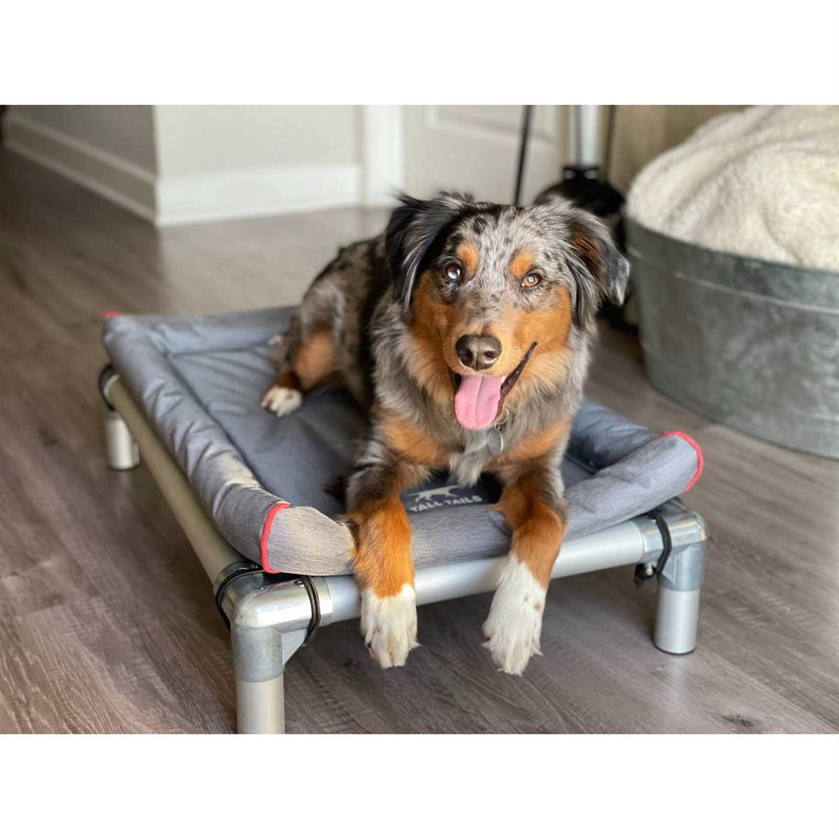 Dog Bed Z620249
