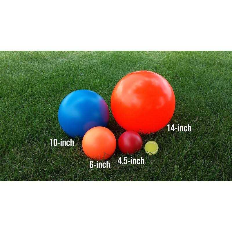 Color Varies 6-in Dog Toy W591105
