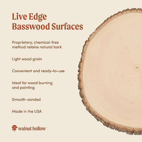 Extra Large 12-14" Wide Live Edge Wood Round (Pack of 6) J8026