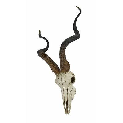 Kudu Antelope Skull Wall Décor X610