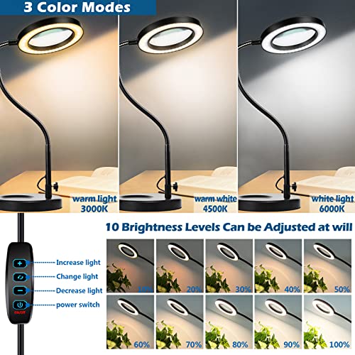 10X Magnifying Glass with Light and Stand, White T993