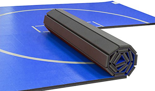 10'x10' Wrestling Mat R204331