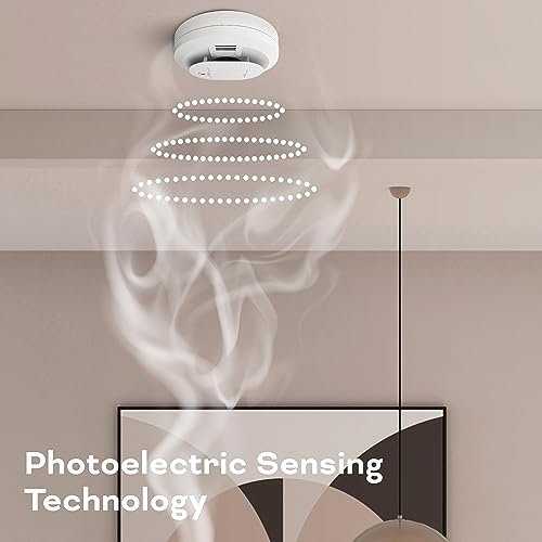 AA Battery Powered Smoke & Carbon Monoxide Detector, 2 Pack L72627