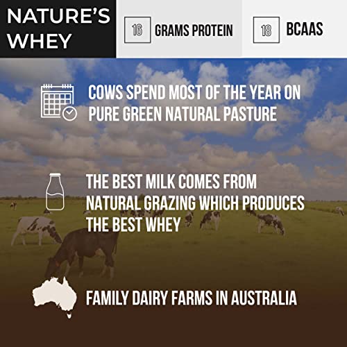 Unflavored Grass-Fed Whey Protein, 1.32 Pound D19335