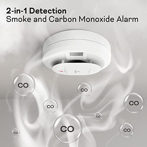AA Battery Powered Smoke & Carbon Monoxide Detector, 2 Pack L72627