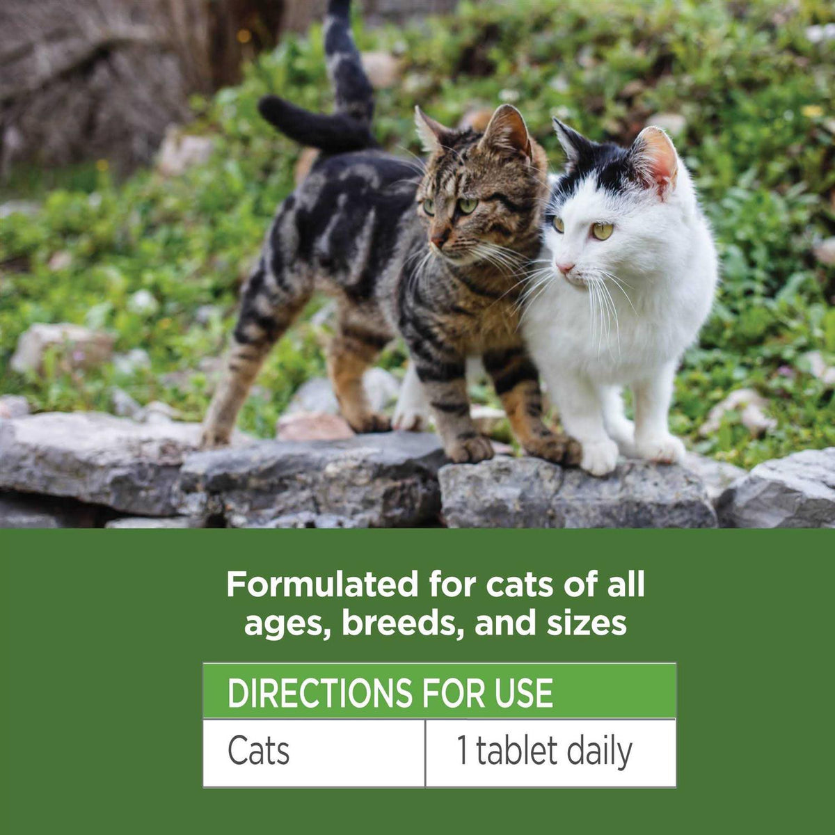 120 ct Oral Flea & Tick Chews for Cats L884