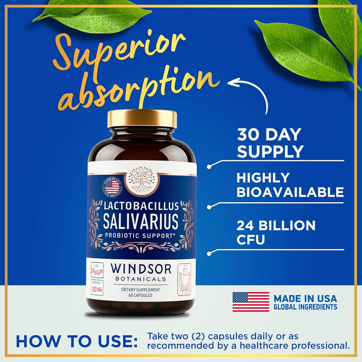 L Salivarius Probiotic Capsules, 24bn CFU, 60 Caps B803600