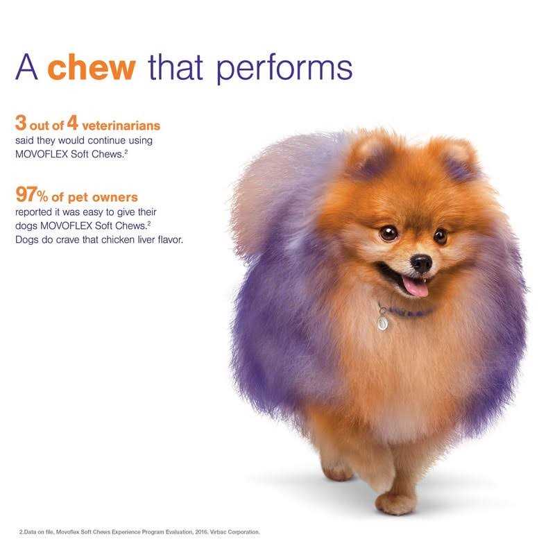 Joint Support Soft Chews for Dogs D44485