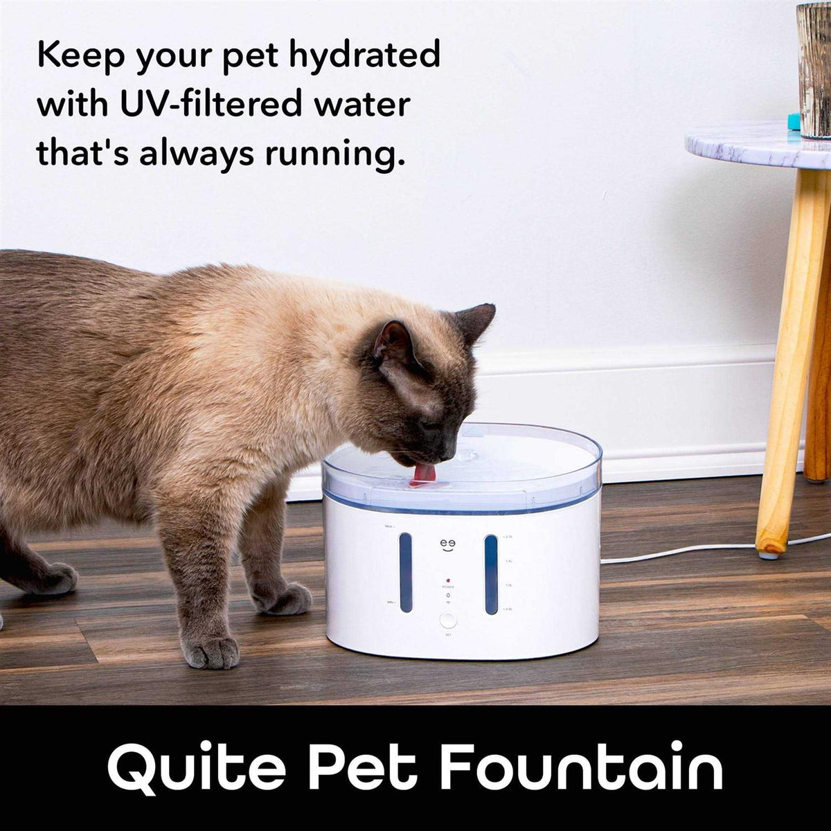 2.5 Liter Automatic Pet Water Dispenser K853