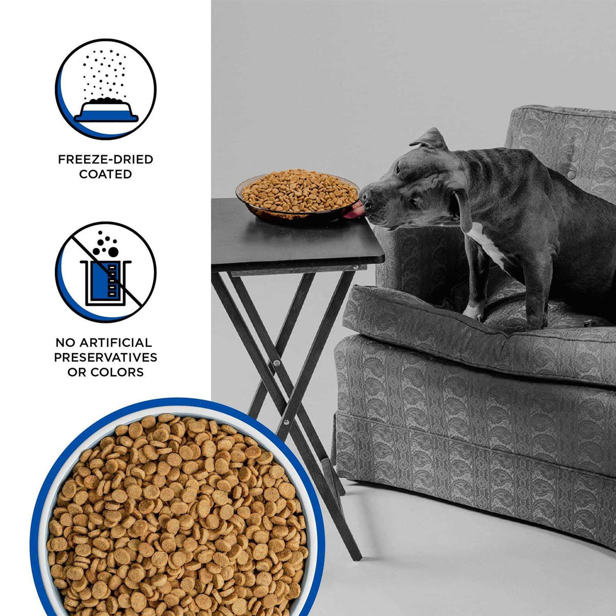 Dry Dog Food D918