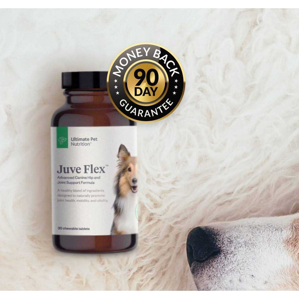 Canine Hip & Joint Support Supplement for Dogs Z174