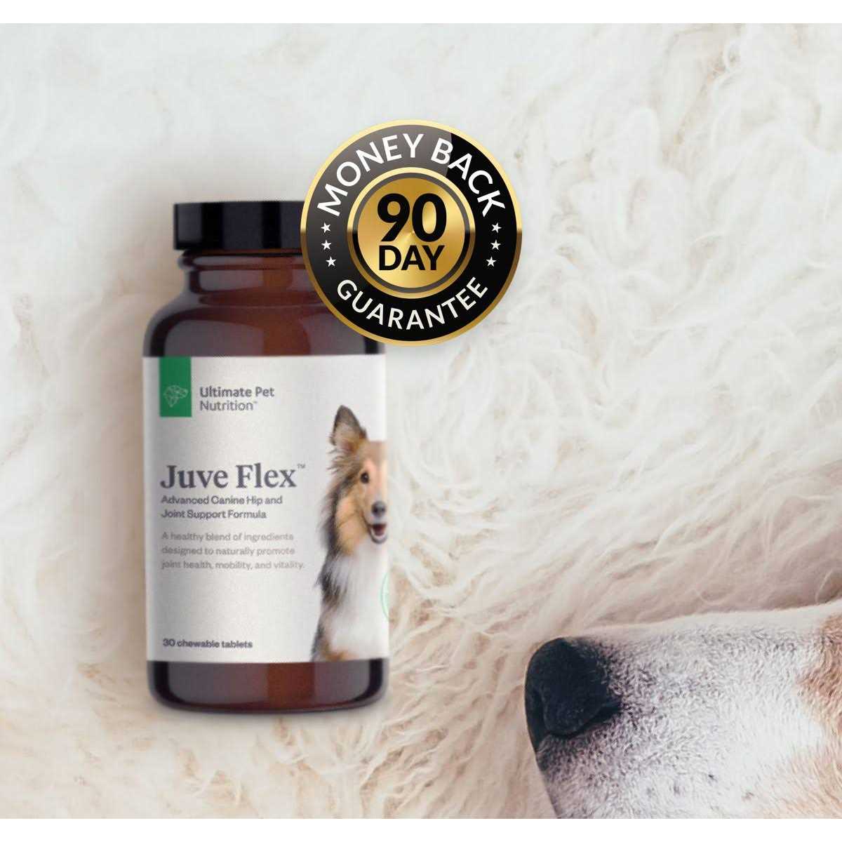 Canine Hip & Joint Support Supplement for Dogs Z174