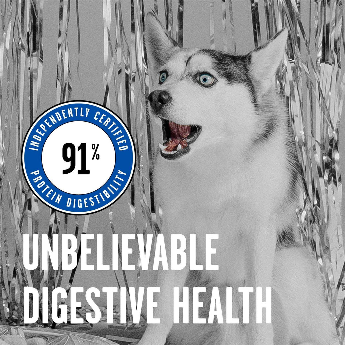 Dry Dog Food D918